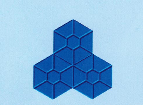 枫 叶